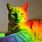 Cat with Rainbow Meme