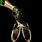 Champagne Bottle Background