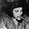 Che Guevara Hand Some