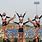 Cheer Stunts Pyramid