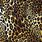 Cheetah Print 4K