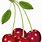 Cherry Fruit Clip Art