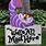 Cheshire Cat Decorations