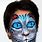 Cheshire Cat Face Paint