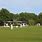Cheshire Cricket Club