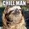 Chill Sloth