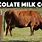 Chocolate Milk Cow