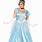 Cinderella Dress Adult Costume