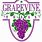 City of Grapevine Logo
