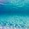 Clear Blue Ocean Underwater