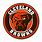 Cleveland Browns Decal