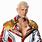 Cody Rhodes WWE Pictures