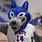 College Wolf Mascot