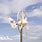 Compact Wind Turbine