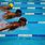 Competitive Swimming Wallpaper