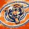 Cool Chicago Bears
