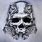 Cool Skull Designs Art