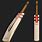 Costliest Cricket Bat in the World