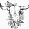 Cow Skull Sketch