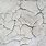 Cracked Cement Texture
