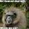 Crazy Monkey Meme