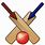 Cricket Bat Emoji
