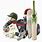 Cricket Equipment Gear