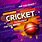 Cricket Match Banner Design