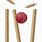 Cricket Stump PNG Image