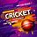 Cricket Tournament Banner Design