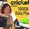 Cricket Wireless Hotspot Plans