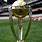 Cricket World Cup Trophy Image