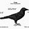 Crow Diagram