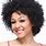 Curly Afro Wigs Human Hair