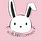 Cute Bunny iPhone Wallpaper