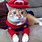 Cute Cat Costumes for Cats