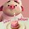 Cute Pig Happy Birthday