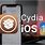 Cydia iOS 16
