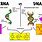 DNA and RNA Diagram