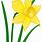 Daffodil Animated