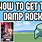 Damp Rock Pokemon