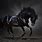 Dark Horse Running