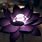 Dark Lotus Flower