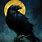 Dark Raven Painting