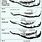 Deer Jaw Aging Chart