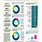 Demographic Profile Template