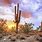 Desert Scene with Cactus
