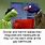 Dirty Grover Memes