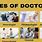 Doctor Types List
