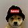 Dodge Dog Meme Hat
